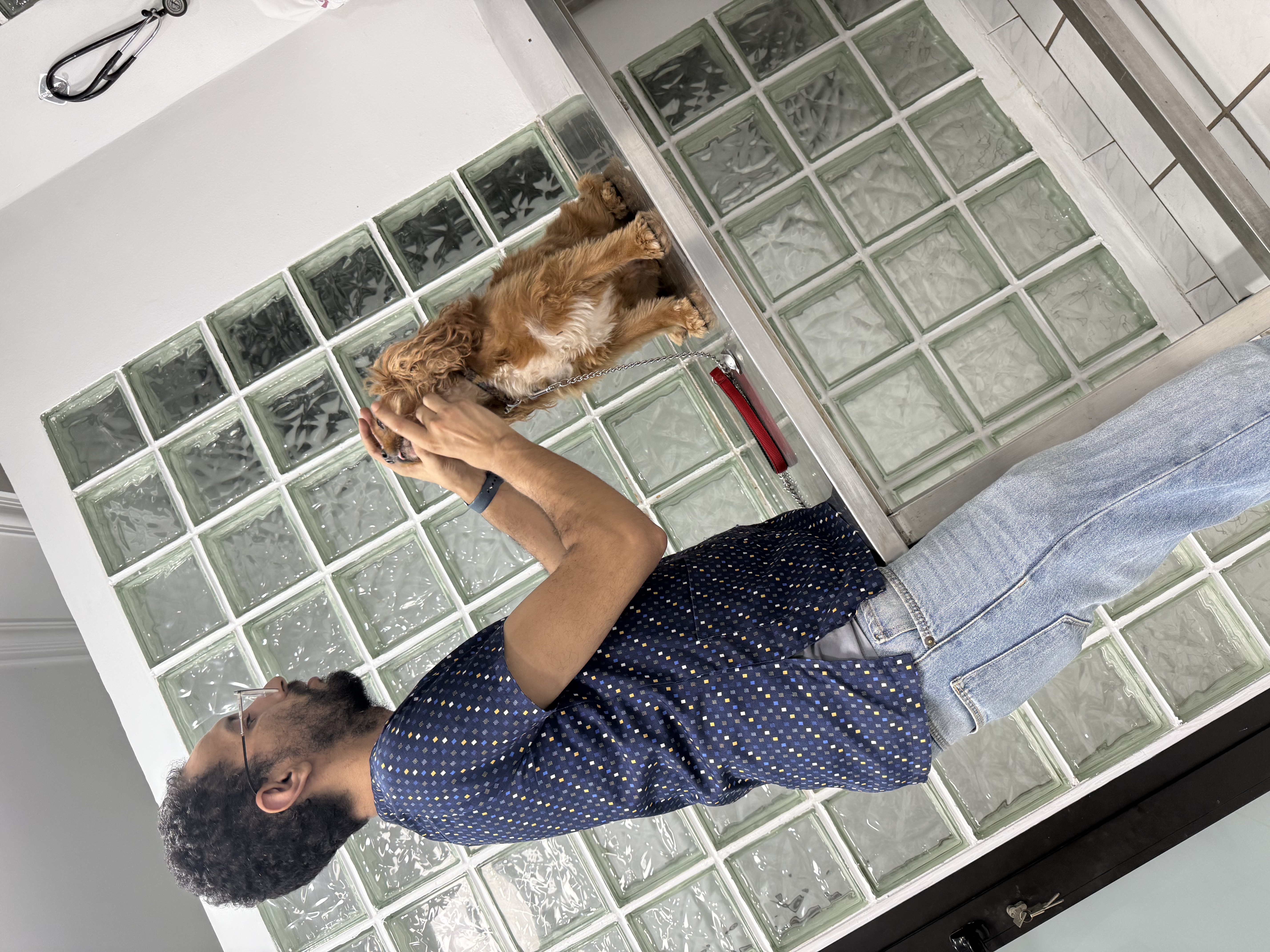 Veterinary doctor in the clinic